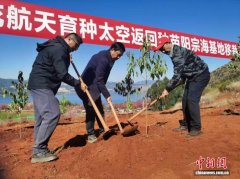 云南首批200株太空樱花种苗顺利移栽